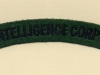 Intelligence Corps (Embroid)