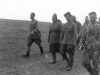 Eastern Front Collection 36