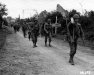 Normandy 1944 Collection 142
