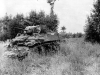 Normandy 1944 Collection 155