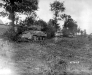 Normandy 1944 Collection 156