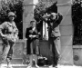 Normandy 1944 Collection 171