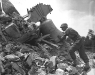 Normandy 1944 Collection 2