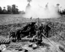Normandy 1944 Collection 219