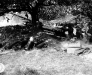 Normandy 1944 Collection 220