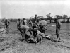 Normandy 1944 Collection 232