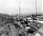 Normandy 1944 Collection 235