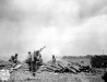 Normandy 1944 Collection 33