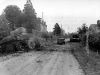 Normandy 1944 Collection 71