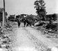 Normandy 1944 Collection 253
