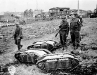Normandy 1944 Collection 279