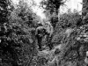 Normandy 1944 Collection 293