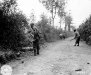 Normandy 1944 Collection 294
