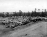 Normandy 1944 Collection 315