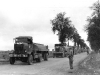 Normandy 1944 Collection 335