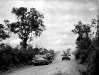 Normandy 1944 Collection 344
