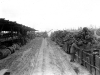 Normandy 1944 Collection 437