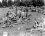 Normandy 1944 Collection 462