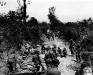 Normandy 1944 Collection 540