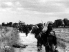 Normandy 1944 Collection 602
