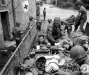 Normandy 1944 Collection 643