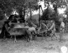 Normandy 1944 Collection 655