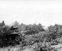 Normandy 1944 Collection 682