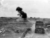 Normandy 1944 Collection 688
