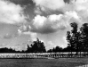 Normandy 1944 Collection 836