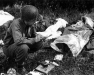 Normandy 1944 Collection 851
