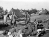 Normandy 1944 Collection 884