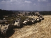 Column of M4 Shermans &#038; M3 Lee Tanks